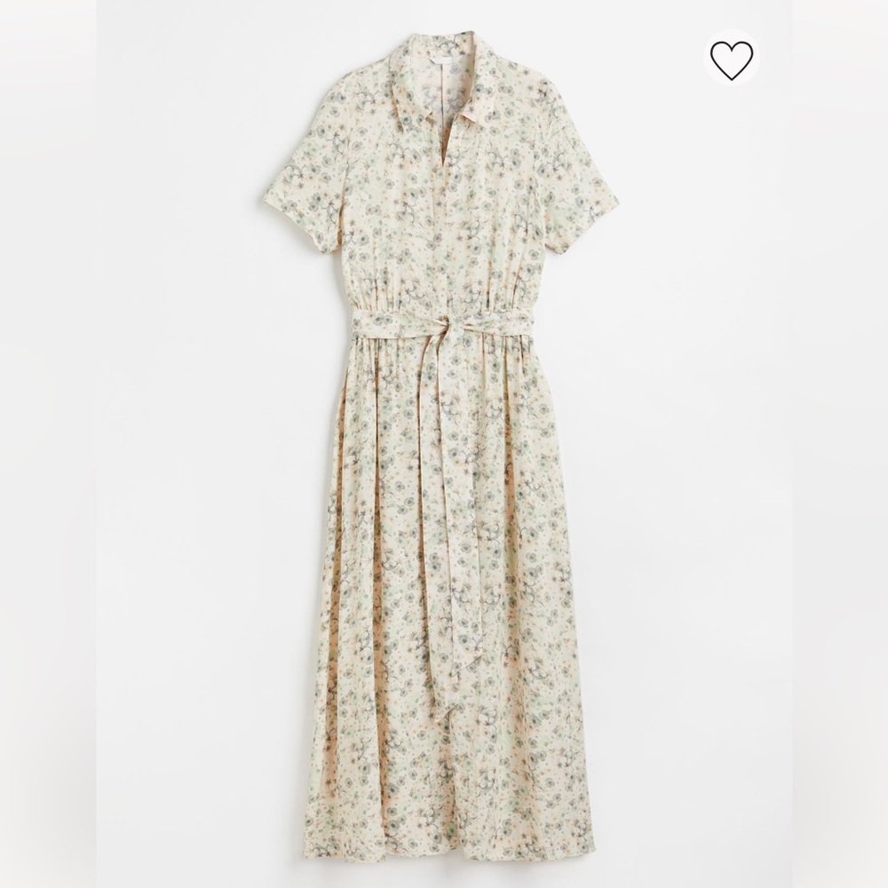 H&M belted dress